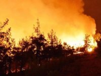 Şili’de orman yangını: 18 ölüm!