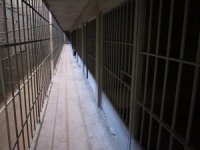 'Denetimli Serbestlik'te BİOSİS dönemi!