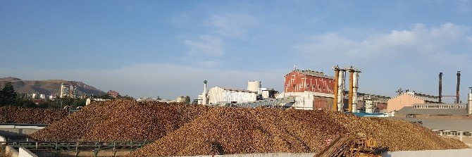 Kayseri Şekerden pancar çiftçisine 54 milyon TL söküm avansı