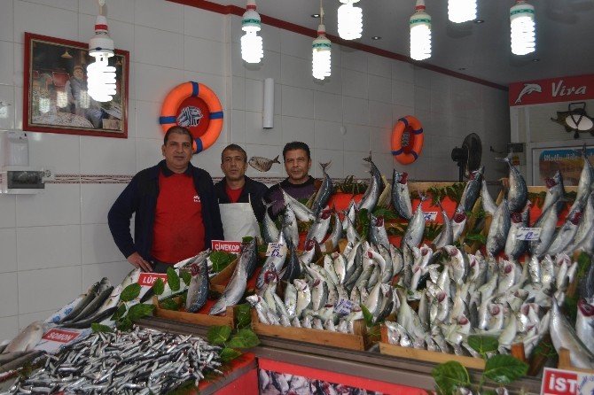 Balıkçıların çinekop ve sarıkanat bolluğu beklentisi