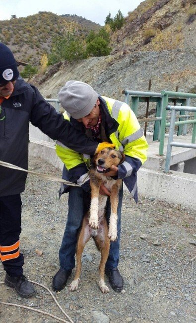 200 metre derinliğindeki kanala düşen köpeği, AFAD kurtardı