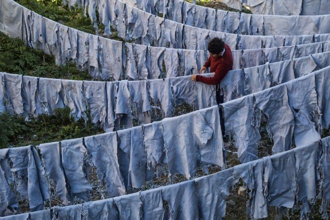 Zeytinburnu 5’inci Fotoğraf Yarışması’nı Kazanan İsimler Açıklandı