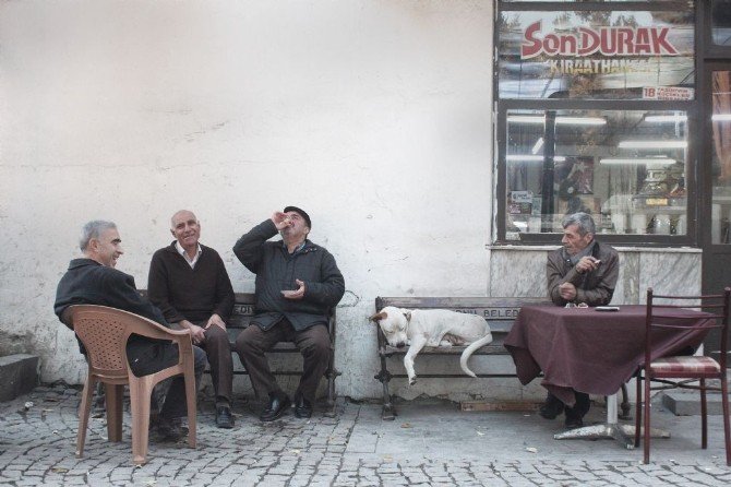 Zeytinburnu 5’inci Fotoğraf Yarışması’nı Kazanan İsimler Açıklandı