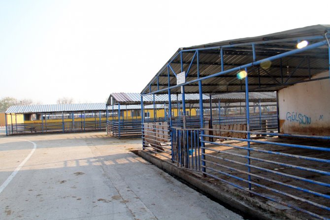 Bursa hayvan pazarları şap hastalığından dolayı kapatıldı
