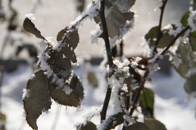 Ardahan’da Soğuk Hava Yaşamı Olumsuz Etkiliyor