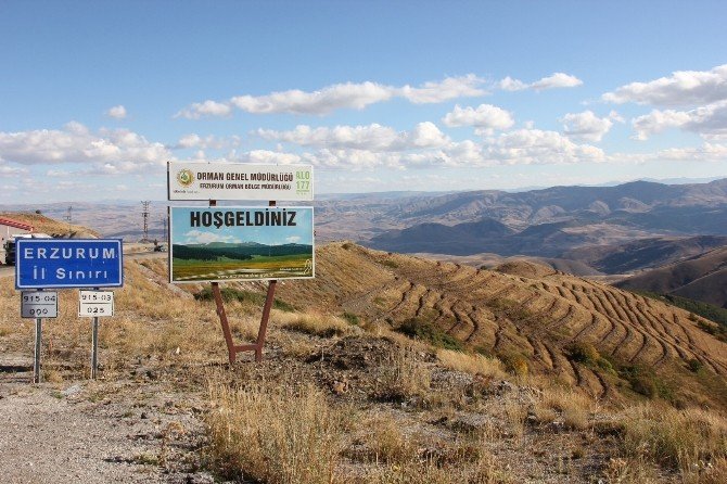 Erzurum-aşkale Kop Dağı Ağaçlandırma Çalışmaları Devam Ediyor…