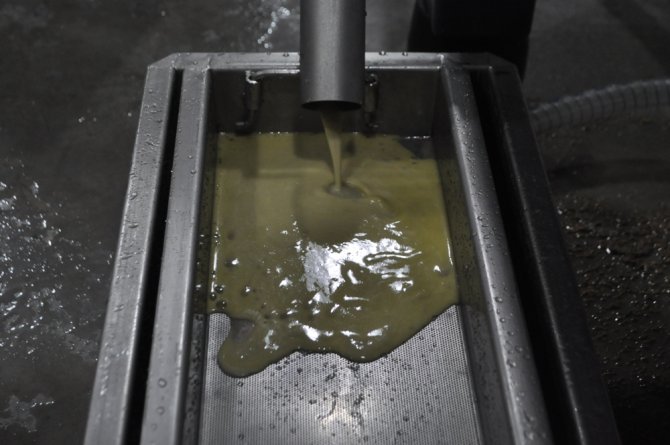 Edremit Meslek Yüksekokulu'nda ilk zeytinyağı sıkımı yapıldı