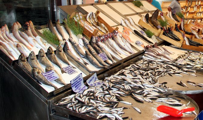 Uluabat Gölü'nün balık popülasyonu masaya yatırıldı