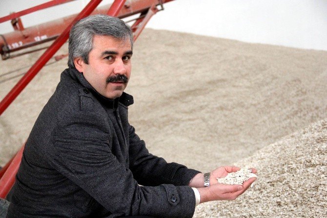 Kayseri Gıda Tarım Ve Hayvancılık İl Müdürü Özkan Kayacan: