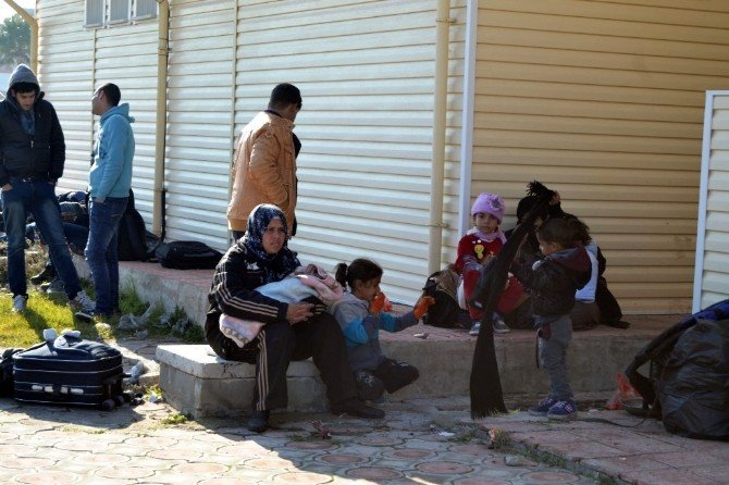 Ayvalık’ta 120 Suriyeli Göçmen Jandarmaya Yakalandı