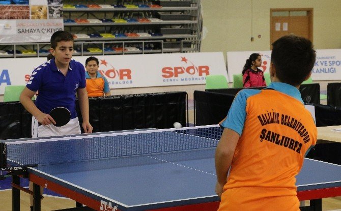 Haliliye Masa Tenisi Takımı, Anadolu Yıldızlar Ligi’nde Yarı Finalde