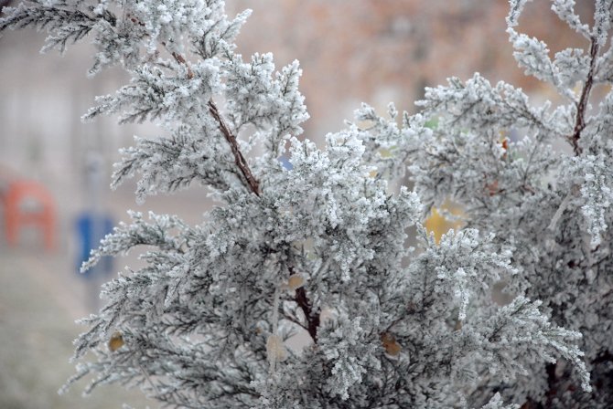 Kayseri’de aşırı soğuklardan ağaçlar beyaza büründü