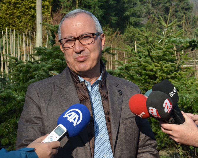 İstanbul Orman Müdürü Mere: Yılbaşında ağaç kesmeyin fidan dikin