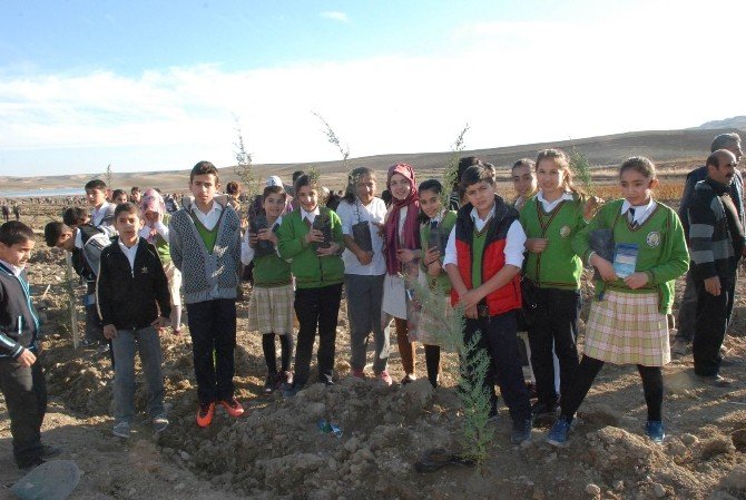 Öğrenciler, Kağıt İçin Kesilen Ağaçlara Karşılık Fidan Dikti