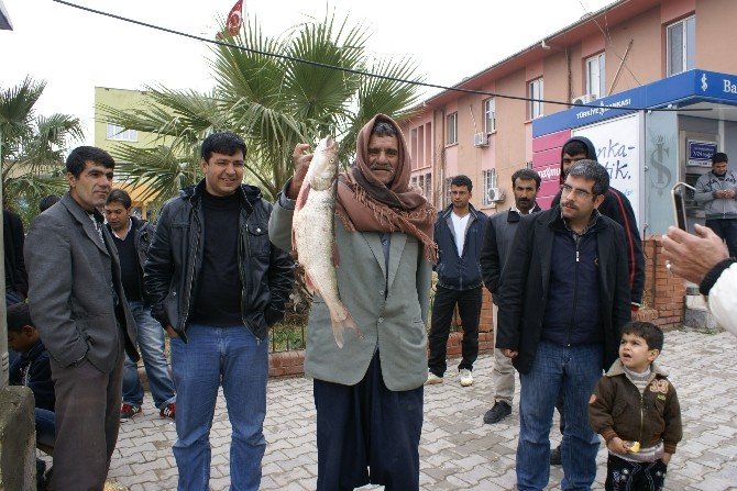 Atatürk Baraj’ında Avlanan Balıklar Büyük İlgi Görüyor