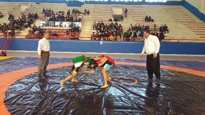 Aşırtmalı Aba Güreşi Türkiye Şampiyonası Kadirli’de Yapıldı