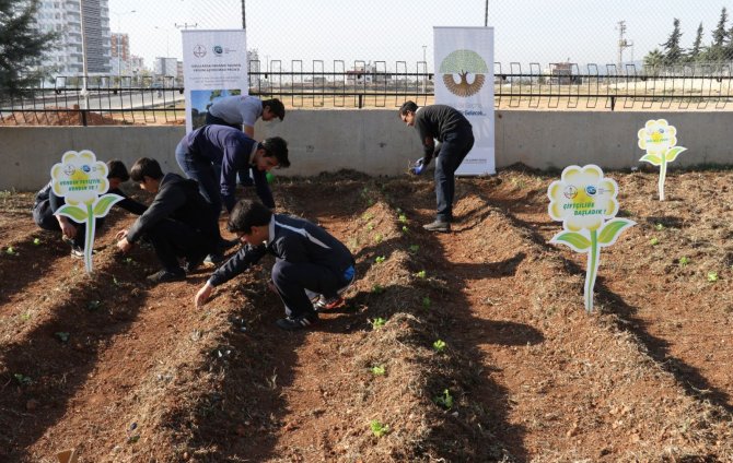 Öğrenciler okul bahçesinde sebze yetiştirecek