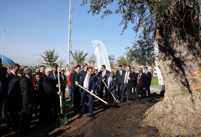 Bakan Faruk Çelik, EXPO 2016 Alanına Ağaç Dikti