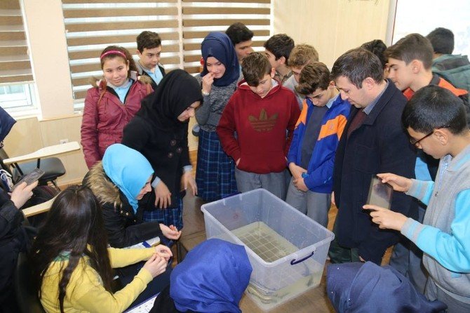 Trabzon’da Öğrencilere Deniz Ekosistemi Ve Çevre Bilinci Anlatıldı