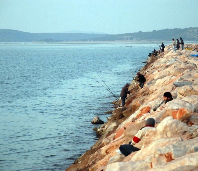 Didim’de Balık Tutkunların Merkezi Taşburun Oldu