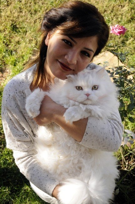 Evde Kedi Beslemeye Mahkeme Onayı