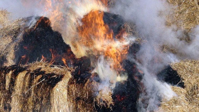 Aksaray’da Çiftlikte Saman Yangını