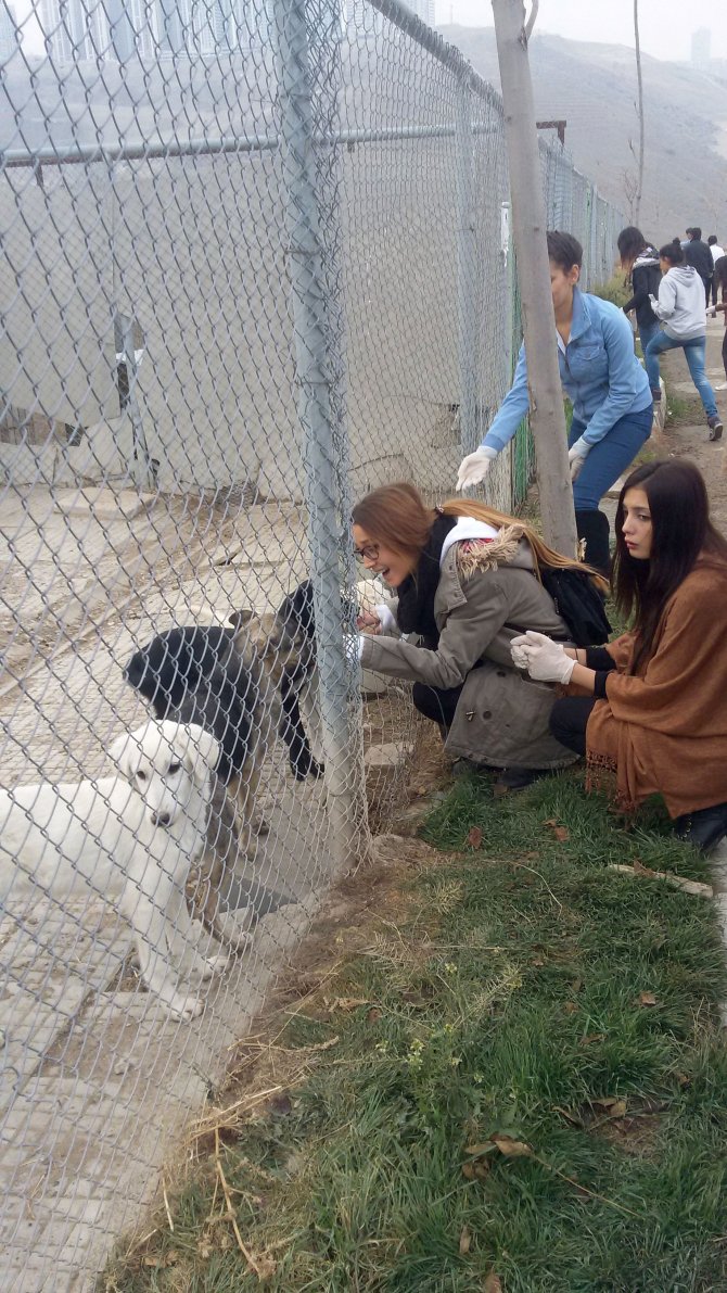 Lise öğrencileri yapıp-sattıklarıyla sokak hayvanlarına mama aldı