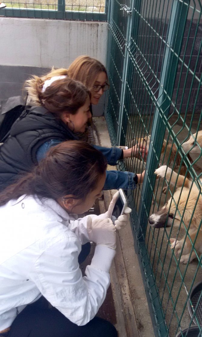 Lise öğrencileri yapıp-sattıklarıyla sokak hayvanlarına mama aldı