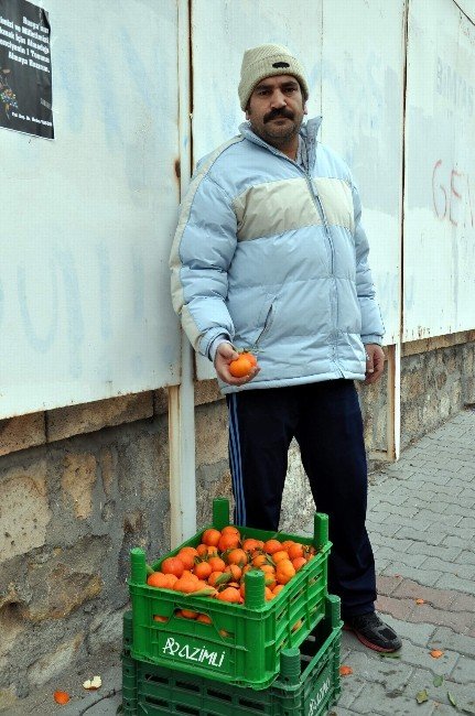 Öğretim Üyesi, Putin’e İnat Mandalina Dağıttı