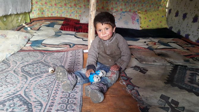 Suriyeli aile, Van’da kaldıkları çadırda yaşam mücadelesi veriyor