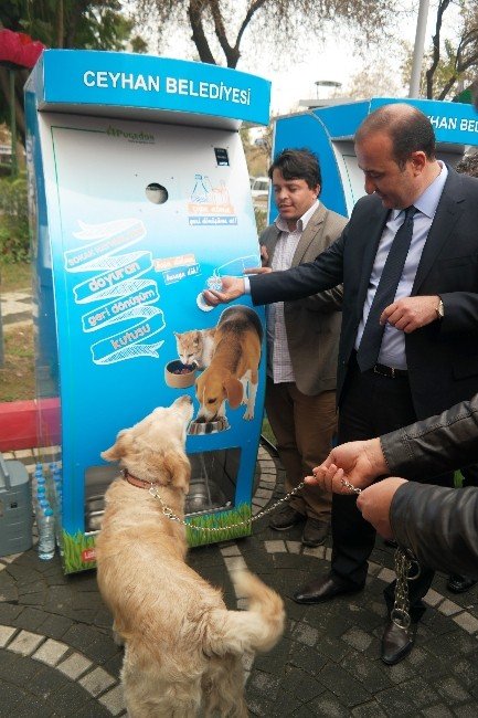 Ceyhan’da Sokak Hayvanları Geri Dönüşümle Besleniyor