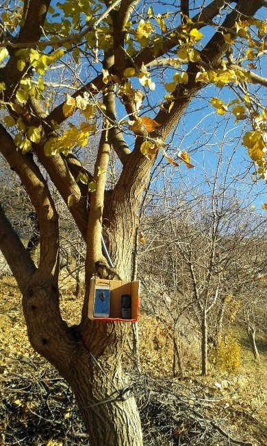 Ağaca Asılan Kutudan İletişim