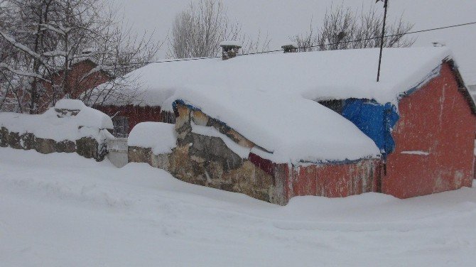Bitlis’te Kara Kış