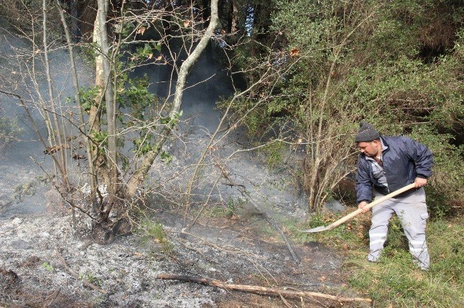 Çanakkale’de Orman Yangını