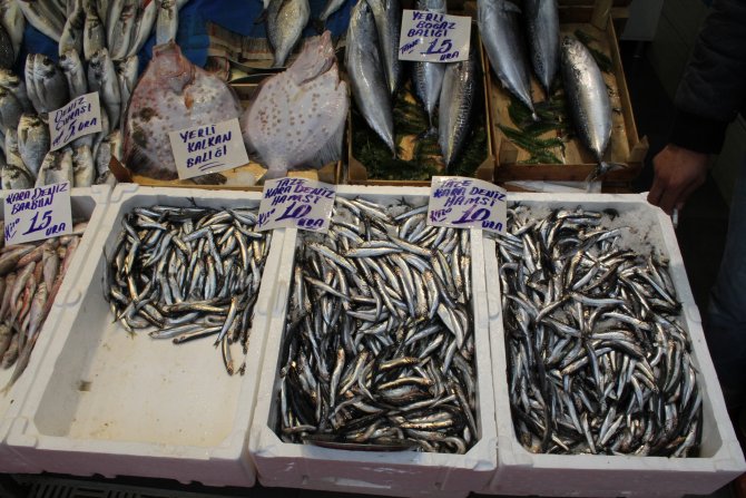 Balık fiyatlarına 'kar' etkisi