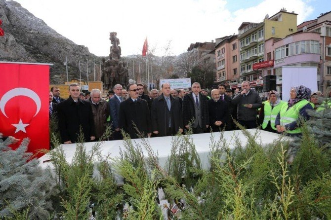 Amasya’da Halka Bin Fidan Dağıtıldı