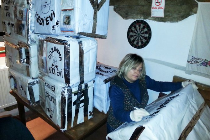 Sokak kedileri ‘Kedi evleri’ sayesinde artık üşümeyecek