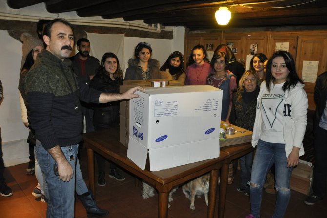 Sokak kedileri ‘Kedi evleri’ sayesinde artık üşümeyecek