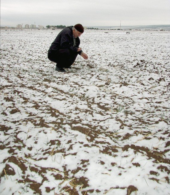 Kar Yağışı, Kuraklık Endişesi Taşıyan Çiftçilerin Yüzünü Güldürdü