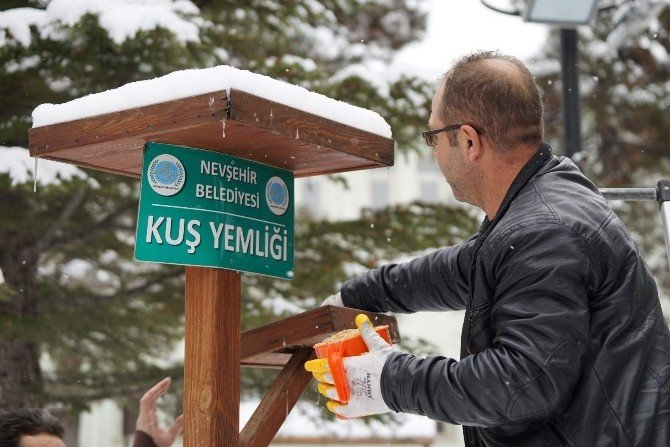 Nevşehir Belediyesi Kuşlara Yem Bıraktı