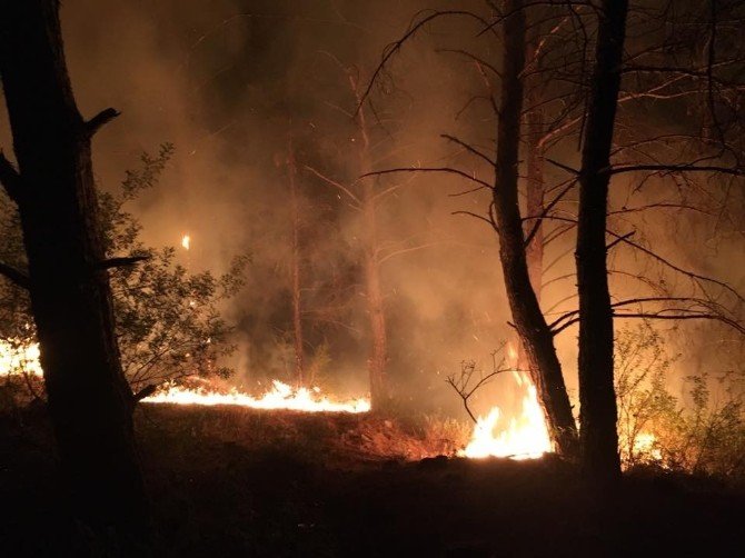 Marmaris Yeni Yıla Orman Yangınıyla Başladı