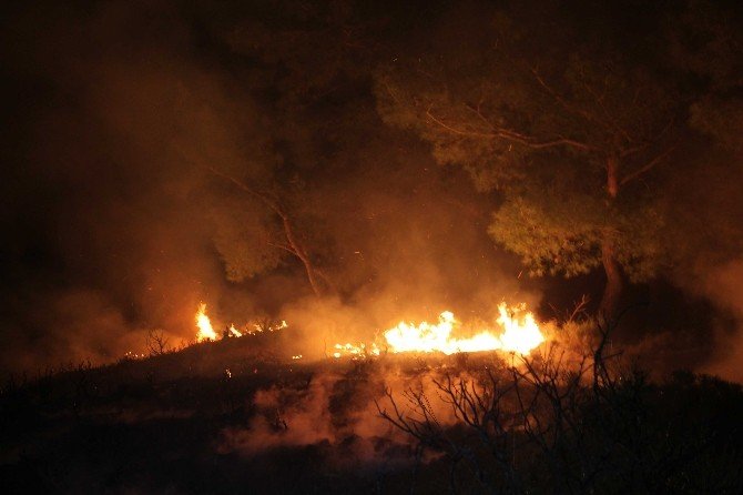2016 Yılının Orman Yangını Fethiye’de Çıktı