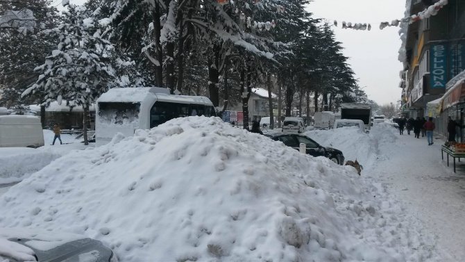 Tatvan'da kar yağışı hayatı olumsuz etkiledi