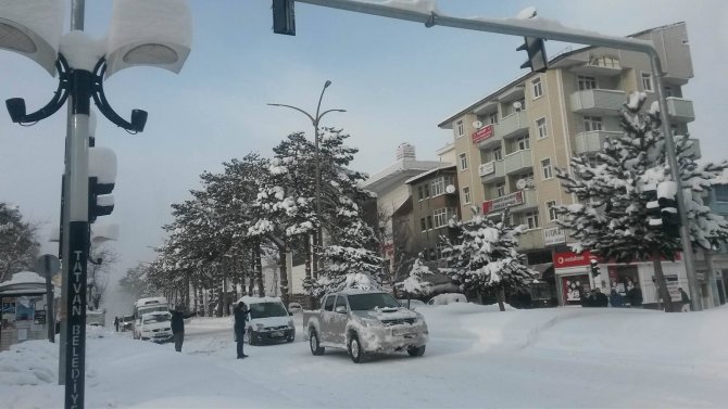 Tatvan'da kar yağışı hayatı olumsuz etkiledi