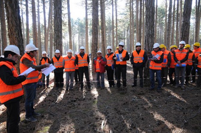 Ormanlarda, damga, üretim ve standardizasyon tatbikatları sürüyor