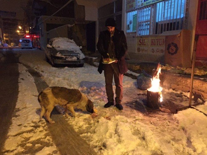 Dondurucu Soğukta Sokak Hayvanları Unutulmadı