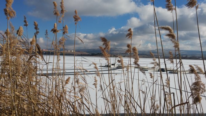 Mogan Gölü'nün üzeri buz tuttu, kuşlar yüzebilecekleri alanda toplandı