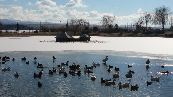 Mogan Gölü'nün üzeri buz tuttu, kuşlar yüzebilecekleri alanda toplandı