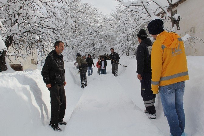 Paletli Kar Ambulansını Köylüler Kurtardı