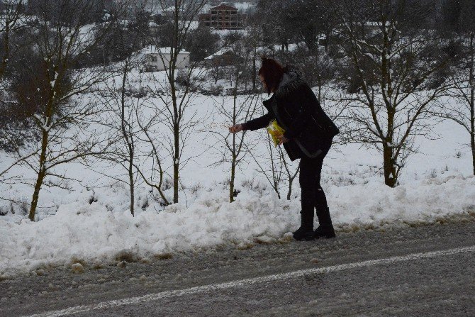 Vatandaşlar Karda Aç Kalan Kuşlar İçin Doğaya Yem Bıraktı
